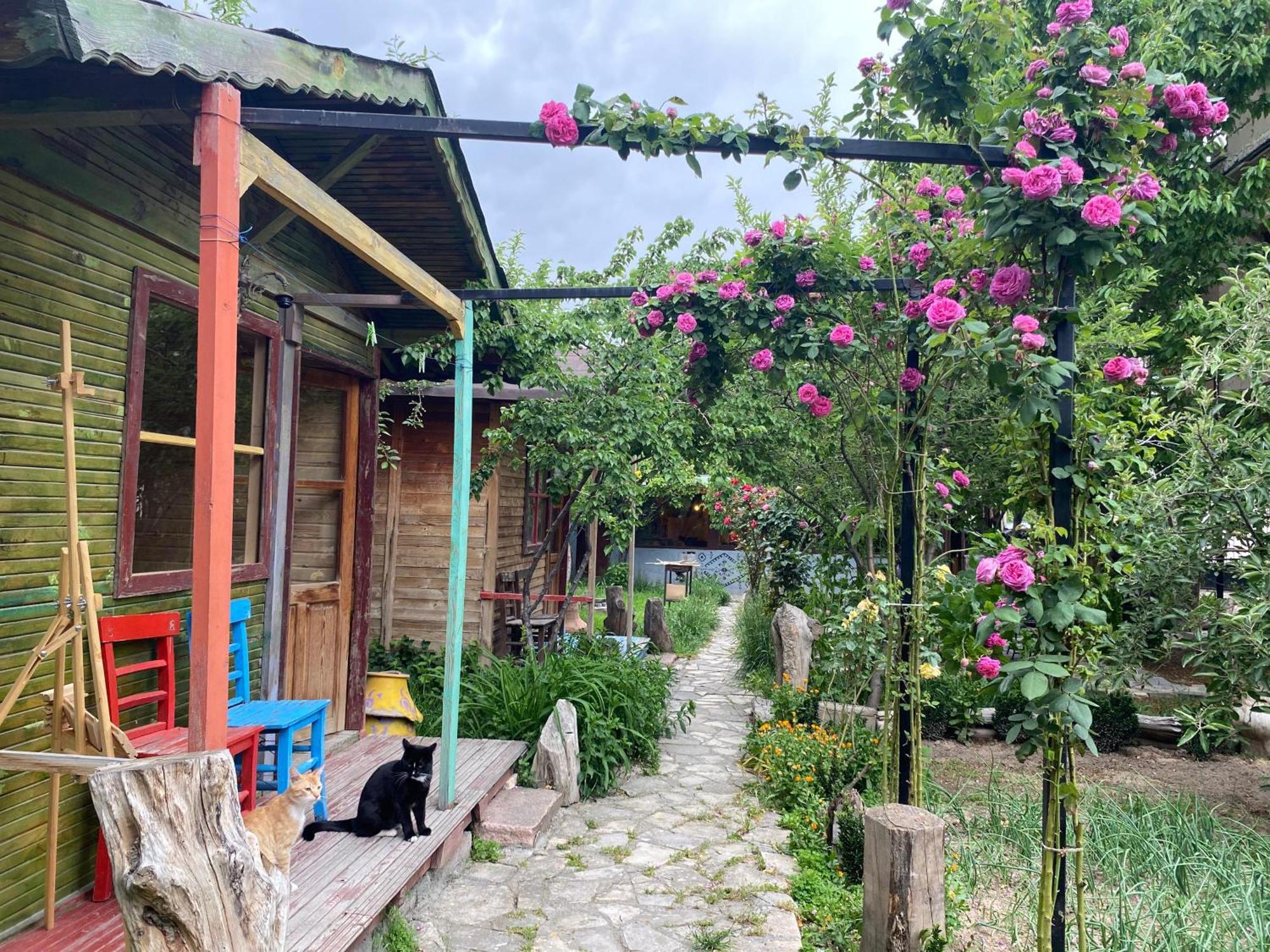 Philosophy Hotel Üçhisar Camera foto
