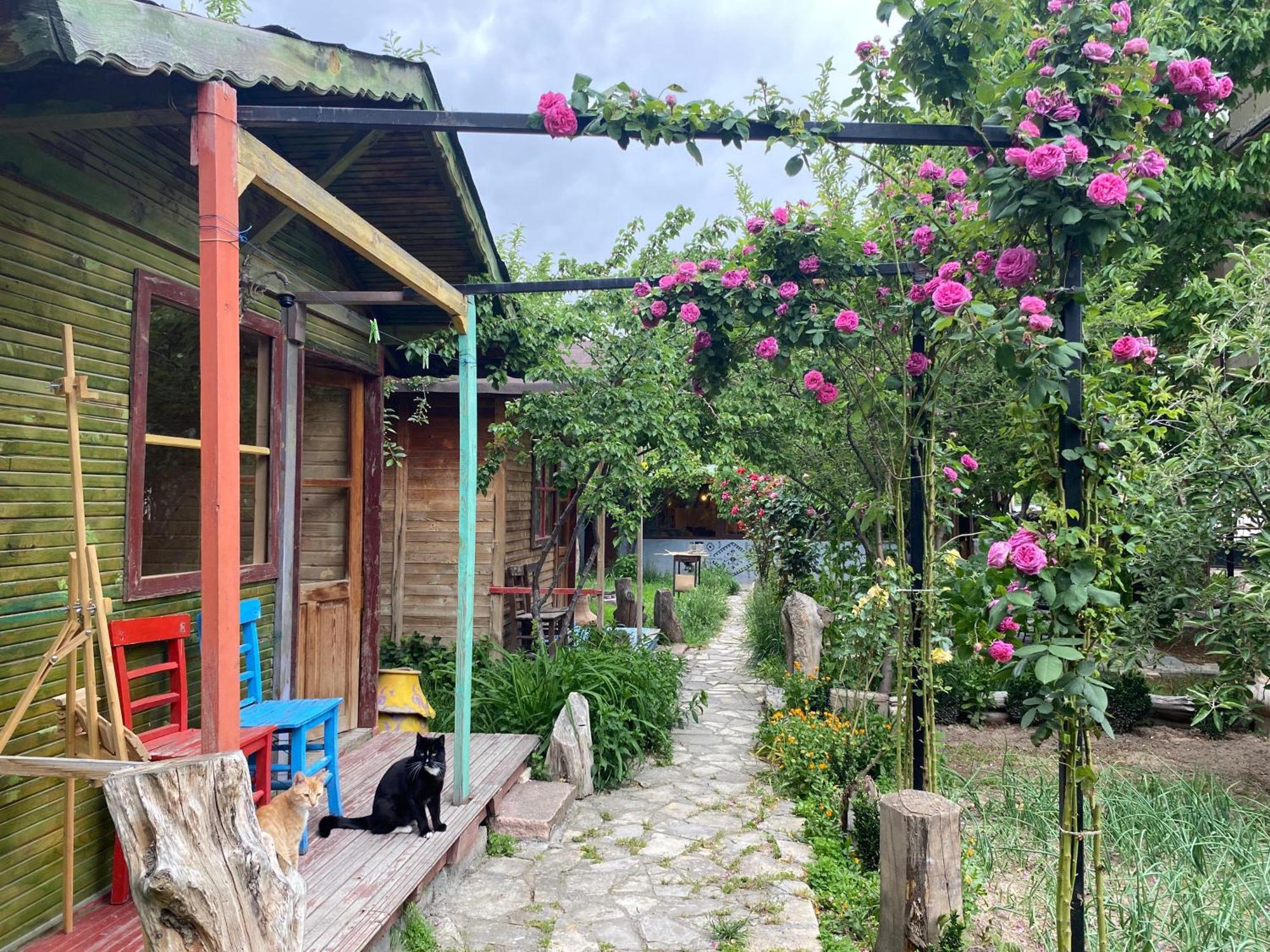 Philosophy Hotel Üçhisar Esterno foto